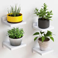 Kit com 4 Mini Prateleiras Flutuantes de Madeira - Loja DecorAÊ